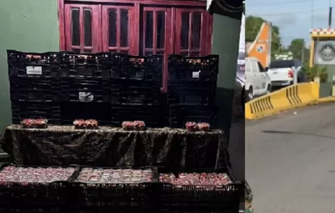 Aprehenden a conductor que intentó evadir control con fresas de contrabando
