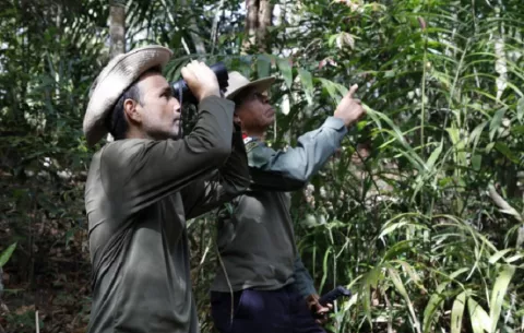 Día Nacional del Guardaparque: reconocen la labor de estos custodios de la riqueza natural 