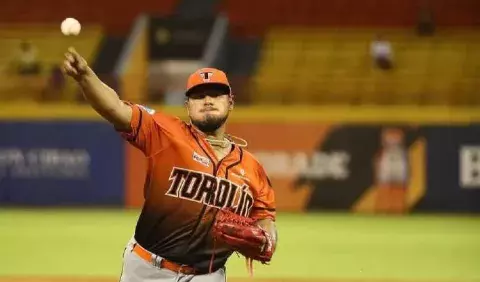 Panameños en la final del  béisbol dominicano