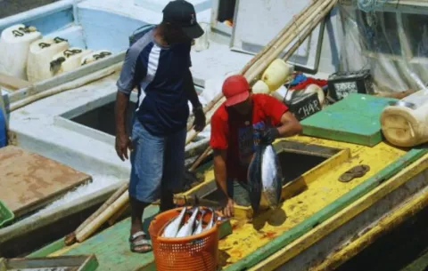 Las exportaciones de Panamá a Ecuador sube 218% en el 2025 apalancadas en sector pesquero