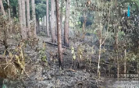 Bomberos despliegan tres equipos a Panamá Oeste ante alta incidencia de Imave