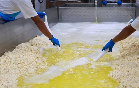 Ministerio de Comercio activa salvaguardia agrícola para proteger la producción nacional