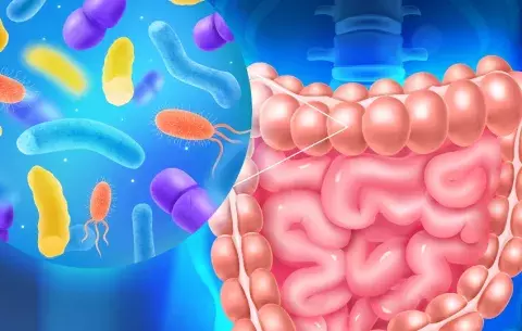 ¿Cómo mejorar la salud intestinal?