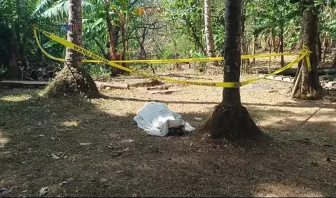 Hombre muere mientras intentaba agarrar pipas; el racimo se desprendió de forma repentina 