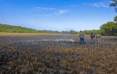 MiAmbiente atiende más de 120 reportes en áreas protegidas