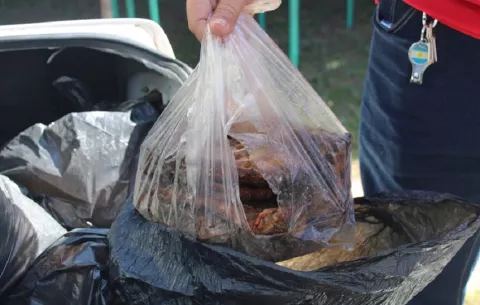 Autoridades sanitarias intervienen para evitar intoxicaciones por carne podrida en Atalaya