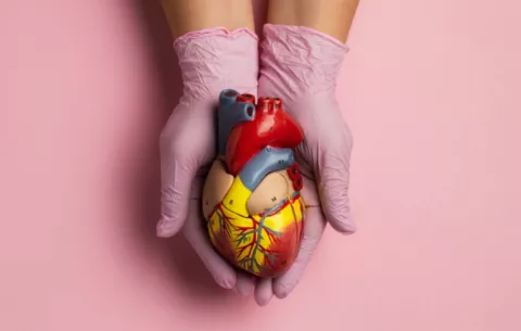 Prevención compartida contra cáncer y cardiopatías