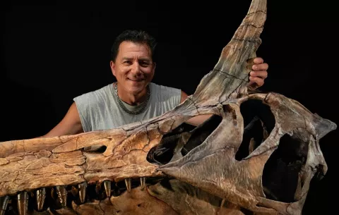 Hallan en el Sáhara un nuevo Spinosaurus y reescriben su vida muy lejos del mar