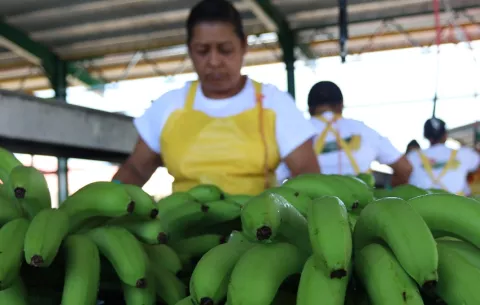 Panamá bate récord de exportación, asegura Moltó