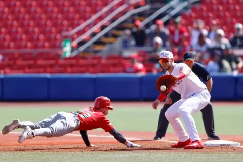 Mayorga, director de Federales: ‘No venimos  a foguearnos a la Serie del Caribe’