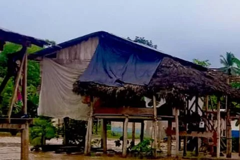 Río Balsas se sale de su causa y afecta a más de 100 casas en Chepigana