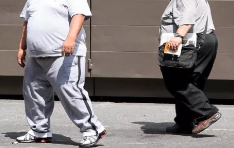 La obesidad aumenta el riesgo de muerte por una amplia gama de enfermedades infecciosas
