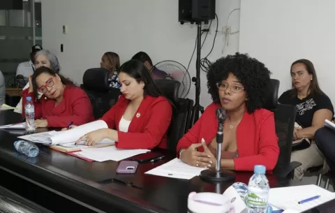 Subcomisión prepara informe sobre proyecto que permite acompañamiento durante el parto