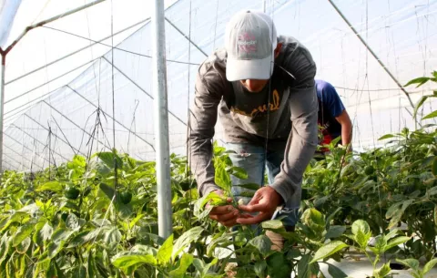 BDA recupera más de $42 millones de la cartera de préstamos en el año 2025