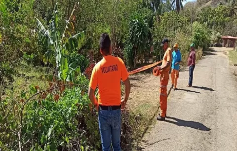 En El Ciruelito de Antón una adulta mayor pierde la vida al caerle encima una palmera 