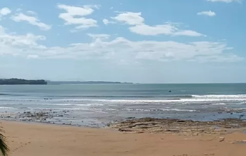 Sinaproc saca a bañistas tras avistamiento de lagartos en playa Morrillo