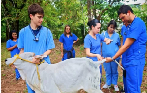 De 600 aspirantes a veterinarios en la UP, solo 50 consiguieron cupo
