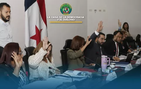 Avanza proyecto que regula la esterilización voluntaria en el sistema público