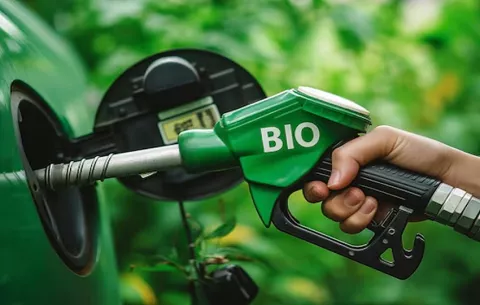 La aprobación del uso de bioetanol será en un periodo 'razonable'