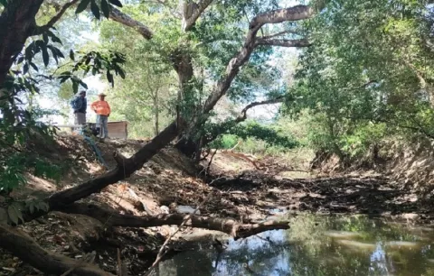 Sequía pone en peligro varios cultivos en Las Margaritas en El Caño de Natá