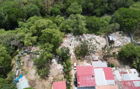 Defensoría abre queja por afectación ambiental en humedales de Panamá Viejo