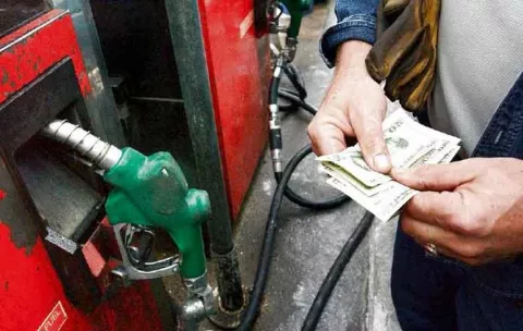 ¿Subsidio al combustible?, Mulino no lo visualiza