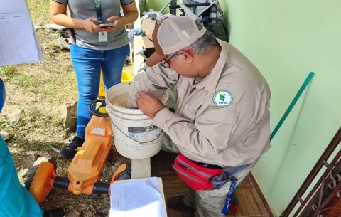Dengue en Panamá: 1,523 casos acumulados y 5 defunciones 