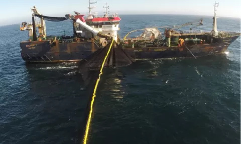 Panamá fue sede de importantes acuerdos sobre la pesca en el Pacífico Sur