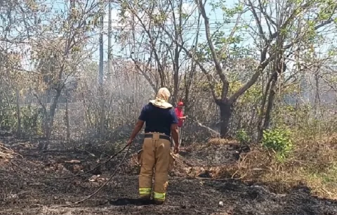 Voraz incendio forestal preocupa a comunidades de Calobre en Veraguas