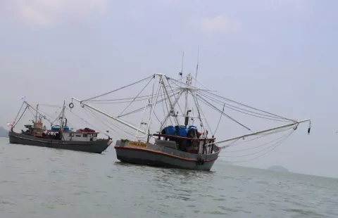 ¿Por qué es necesario ese monitoreo satelital de la flota pesquera en Panamá?