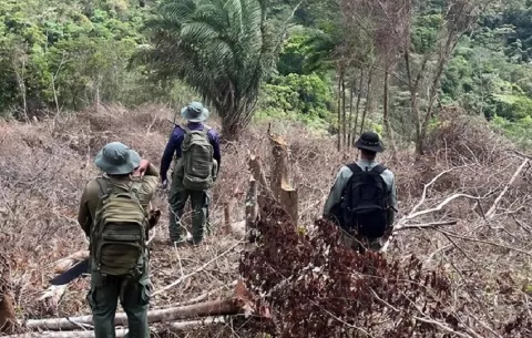 Deforestación ilegal en la Reserva Federal El Montoso, Herrera amenaza fuentes de agua