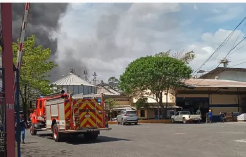 Incendios en Santiago: bomberos piden investigaciones y castigos