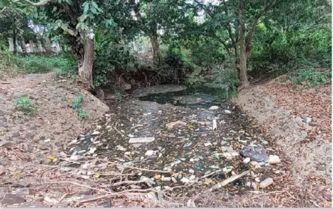 Río Caimito en La Chorrera sufre desastre ambiental