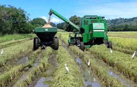 Productores de arroz proponen congelar precios ante un nuevo aumento del combustible