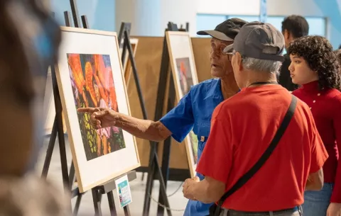 Festival de Artes Visuales reúne más de 135 artistas panameño