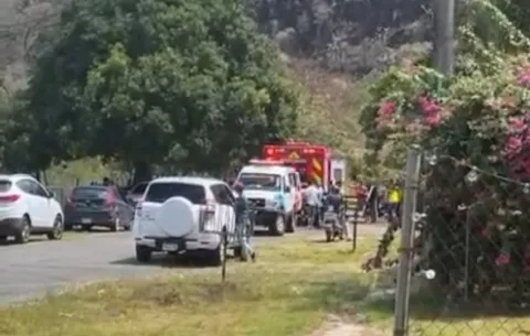 Abejas africanizadas sembraron el pánico en pleno viacrucis de Viernes Santo; ocurrió en Penonomé