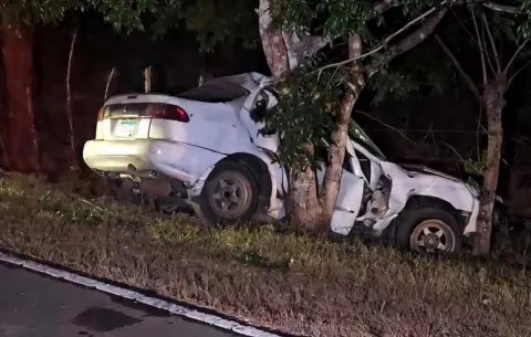 Dos jóvenes mueren tras brutal choque contra un árbol en Los Santos