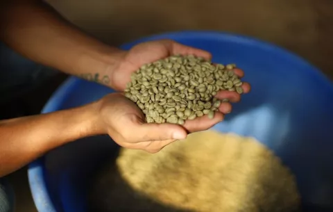 Panamá autoriza importación de 90.000 quintales de café sin tostar