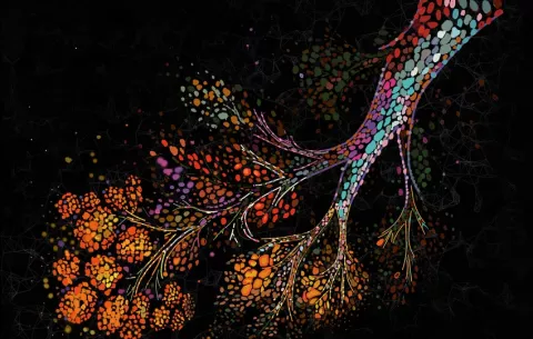¿Por qué el riesgo de cáncer de mama aumenta tras la menopausia?