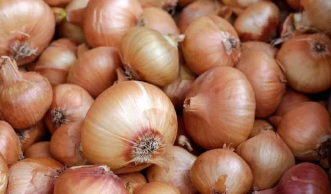 IMA comprará la producción de cebolla de Natá