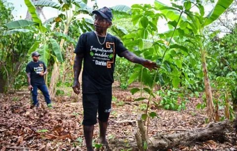 Manos que cultivan cambio: la historia de resiliencia en Cerro Naipe