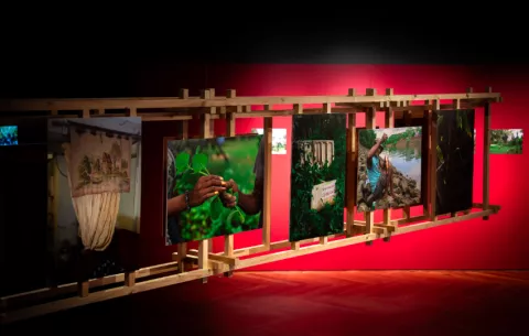 Un archivo audiovisual y botánico sobre el alma del territorio canalero