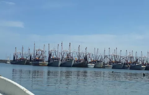 Panamá avanza en el control pesquero con centro de vigilancia satelital  en Vacamonte
