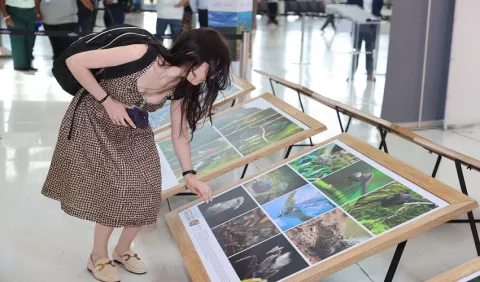 Exhibición 'Nuestras Áreas Protegidas' empieza su recorrido itinerante en el Aeropuerto de Tocumen