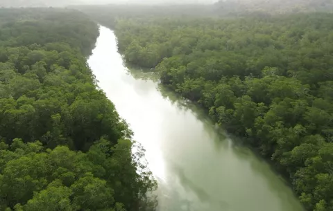 FAO aplaude gobernanza forestal indígena en Panamá al celebrarse el Día de la Tierra