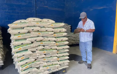Mulino descarta importación de arroz mientras haya inventario nacional