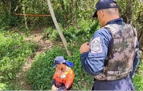 Adulto mayor desaparecido es hallado sin vida cerca de enjambre de abejas africanizadas