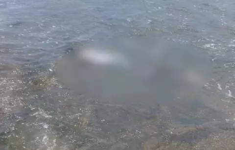 Ajusticiamiento en Piña: Residentes encontraron el cuerpo flotando en el mar