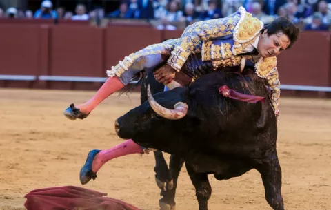 Roca Rey pasa la noche en la UCI de un hospital de Sevilla tras la cornada en el muslo derecho