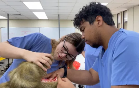  Universidad de Panamá revoluciona la enseñanza veterinaria con tecnología de simulación avanzada
